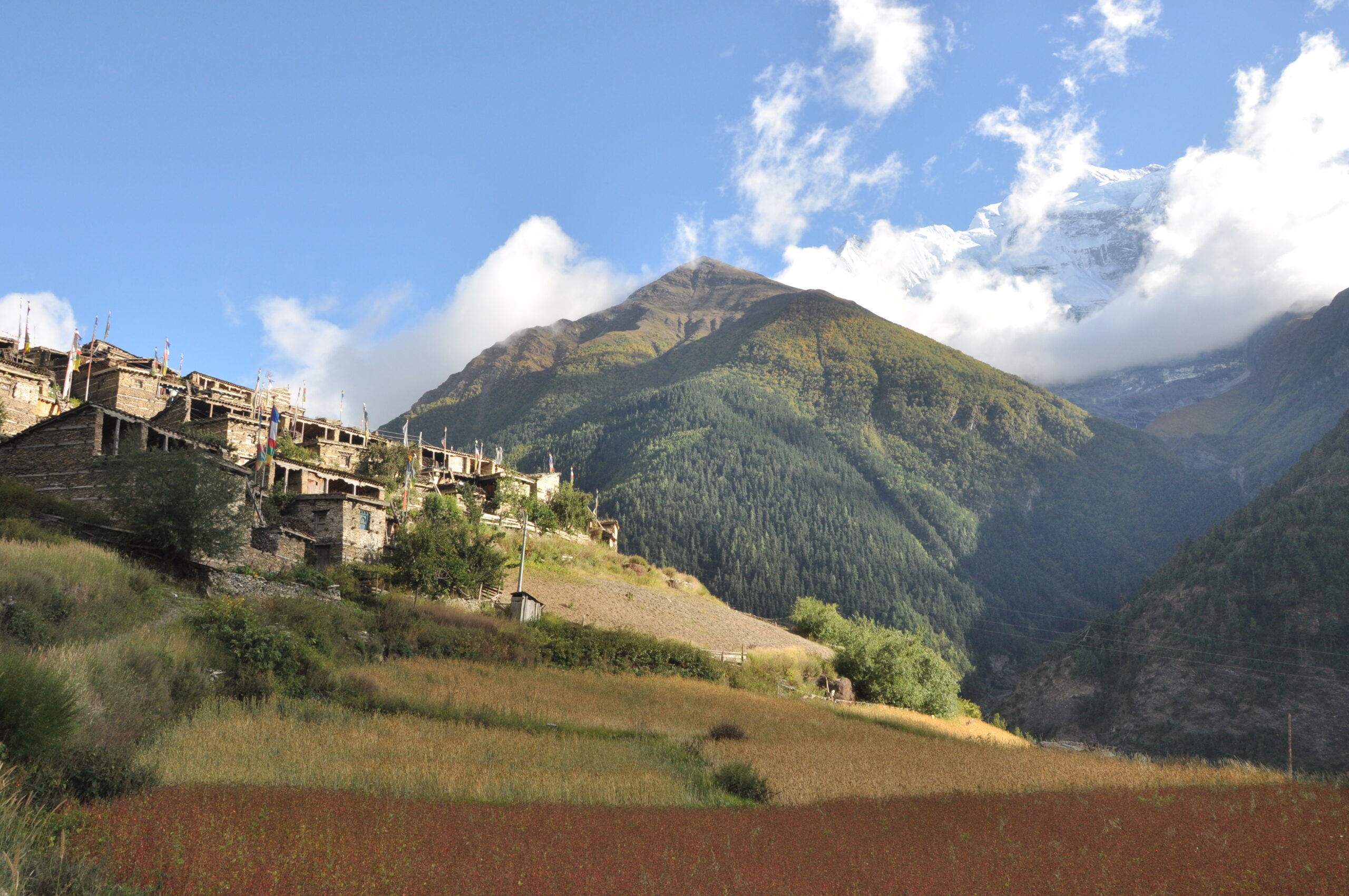 Annapurna circuit