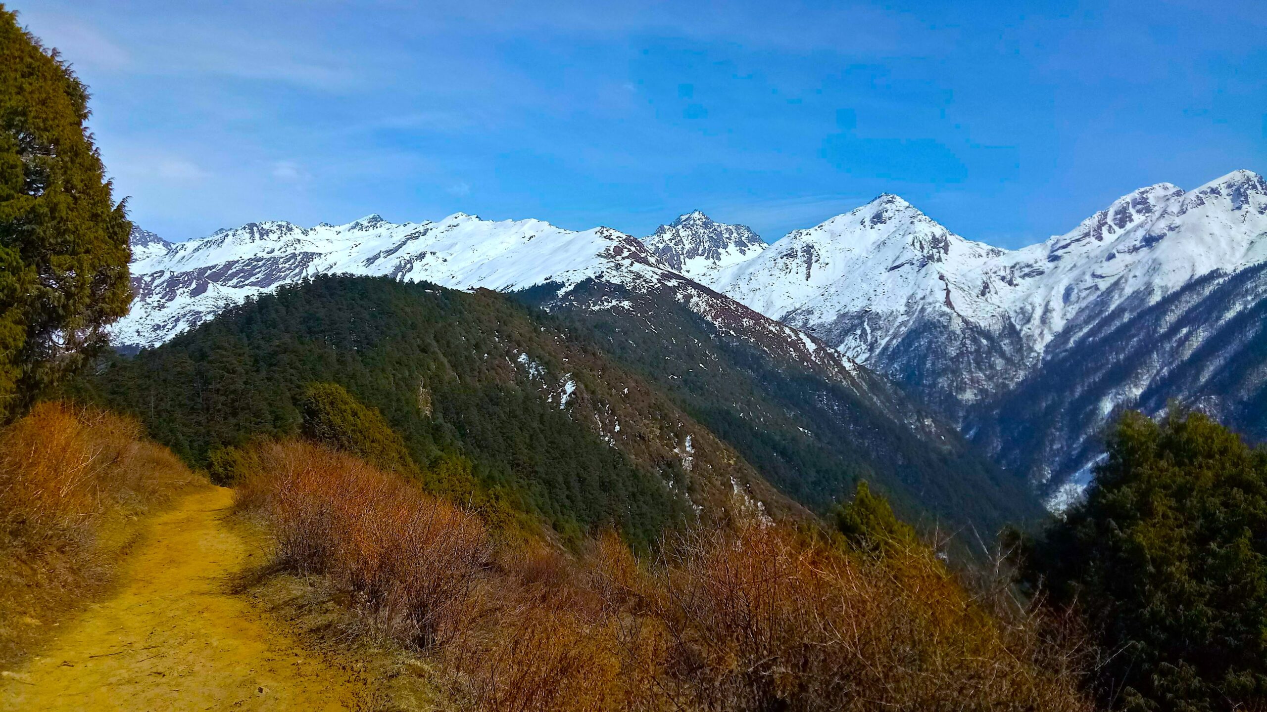 Langtang Singgompa