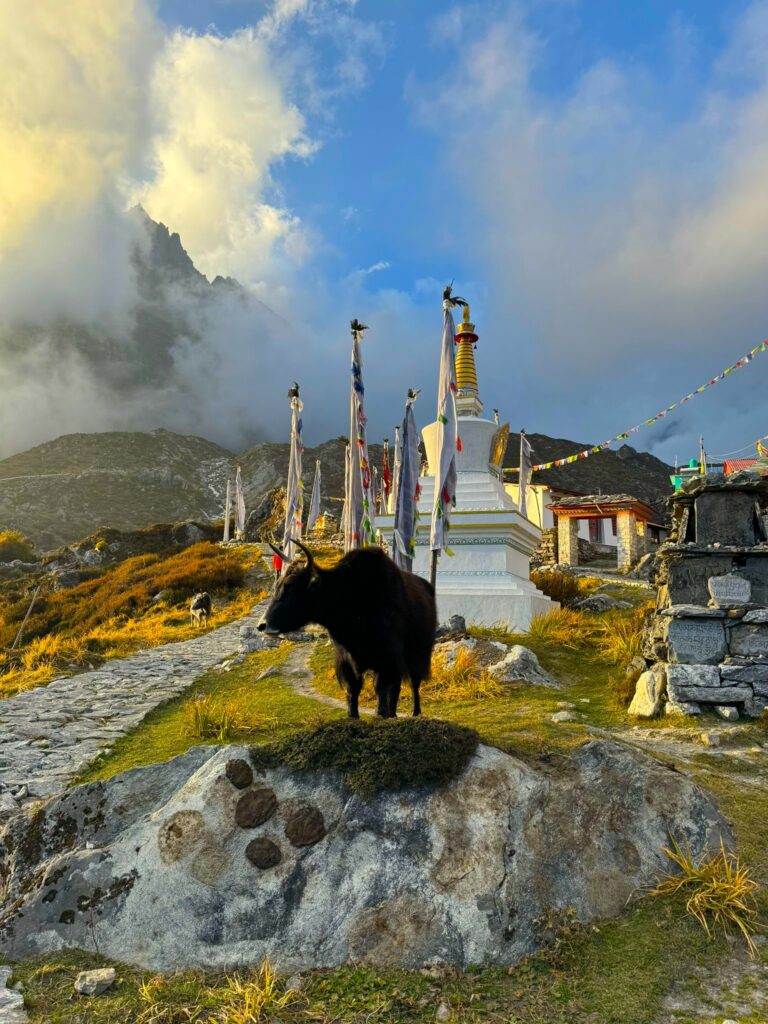 LANGTANG  VALLEY TREK