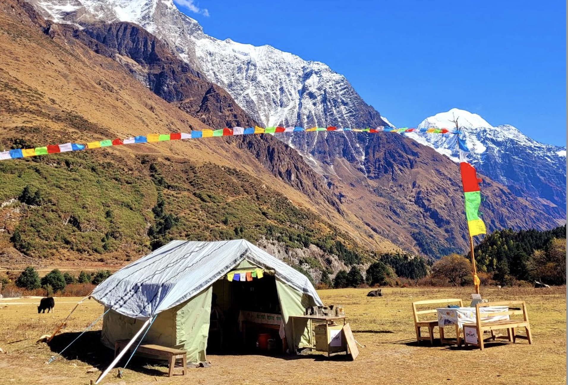 MAnaslu