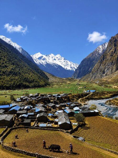 Manaslu & Tsum Valley Trek